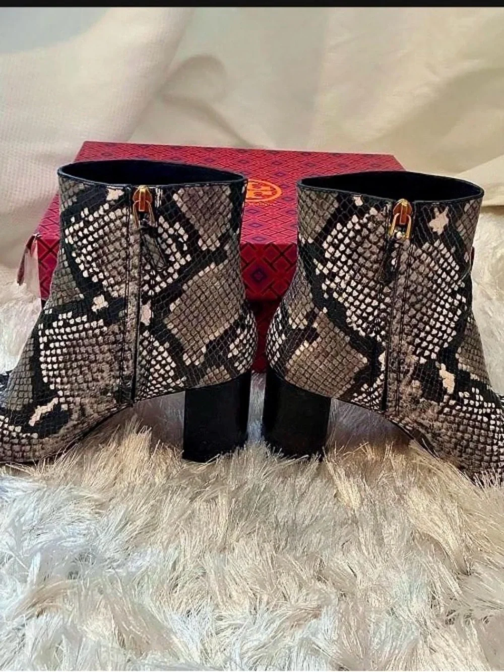 Tory Burch Snake-Print Block Heel Ankle Boot - Black & Cream